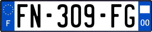 FN-309-FG
