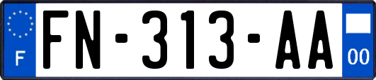 FN-313-AA