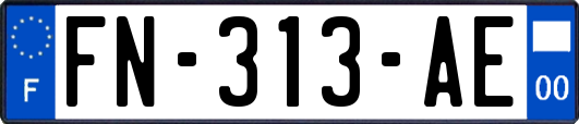 FN-313-AE