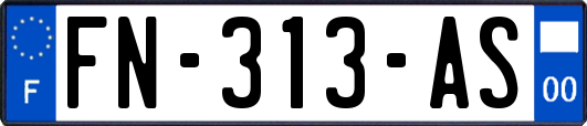 FN-313-AS