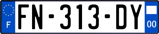 FN-313-DY