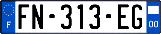FN-313-EG