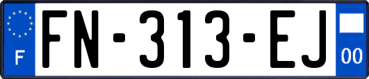 FN-313-EJ