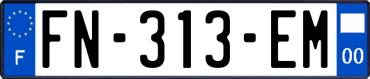 FN-313-EM