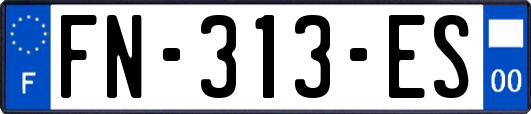 FN-313-ES