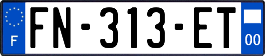 FN-313-ET