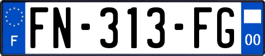 FN-313-FG