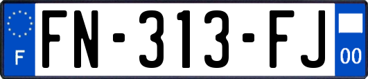 FN-313-FJ