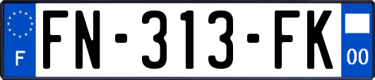 FN-313-FK