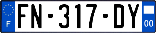 FN-317-DY