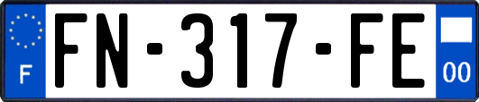 FN-317-FE