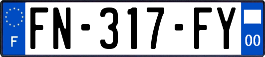 FN-317-FY
