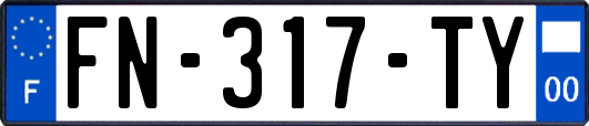 FN-317-TY