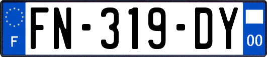 FN-319-DY