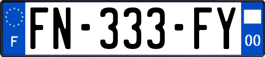 FN-333-FY