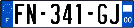 FN-341-GJ