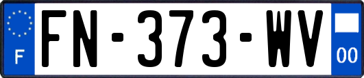 FN-373-WV