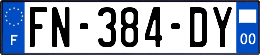 FN-384-DY