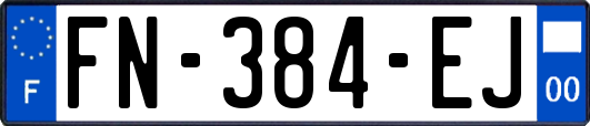 FN-384-EJ