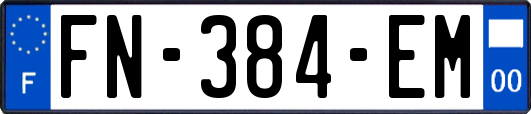 FN-384-EM