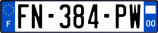 FN-384-PW
