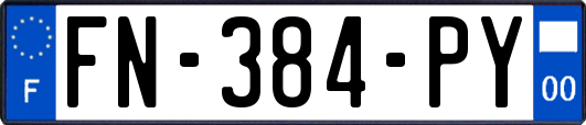 FN-384-PY