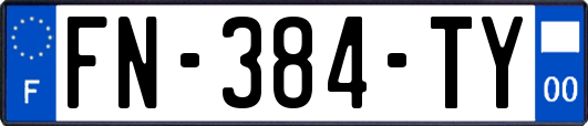 FN-384-TY