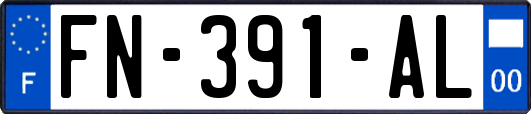 FN-391-AL