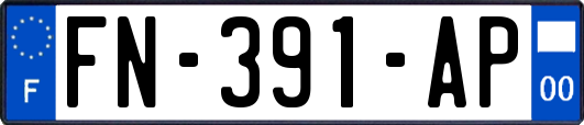 FN-391-AP