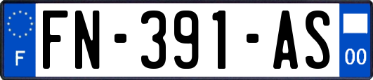 FN-391-AS