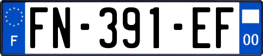 FN-391-EF