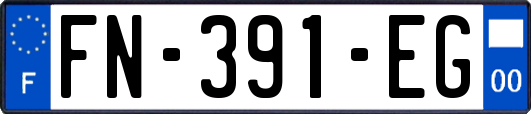 FN-391-EG