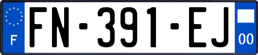 FN-391-EJ