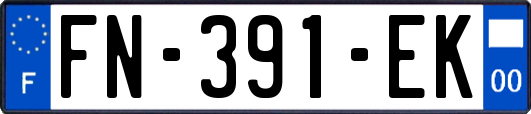 FN-391-EK
