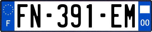 FN-391-EM