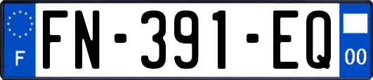 FN-391-EQ