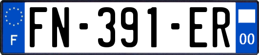 FN-391-ER