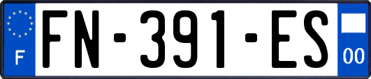 FN-391-ES
