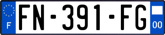 FN-391-FG