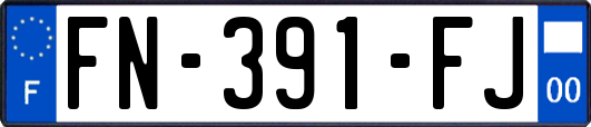 FN-391-FJ