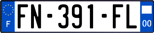 FN-391-FL