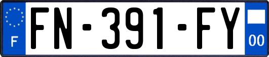 FN-391-FY