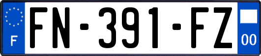 FN-391-FZ