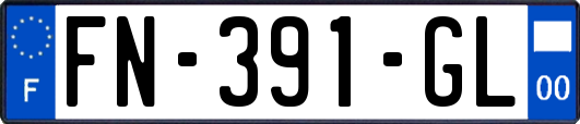 FN-391-GL