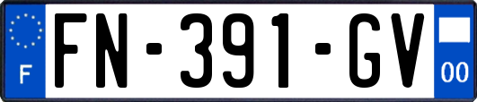 FN-391-GV