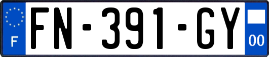 FN-391-GY