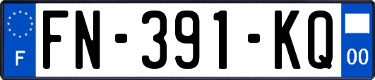 FN-391-KQ