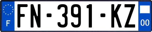 FN-391-KZ