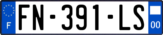 FN-391-LS