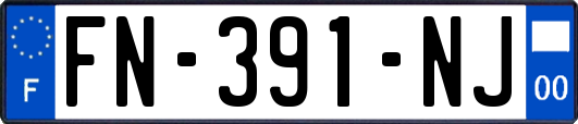 FN-391-NJ